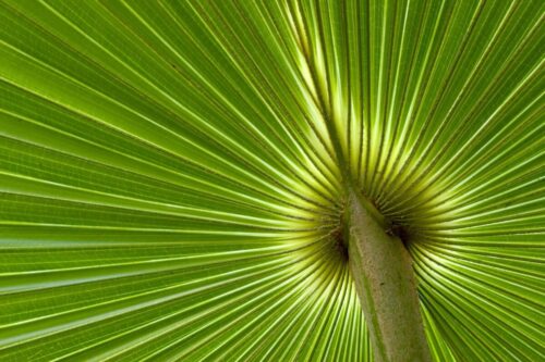 Reputation Führungskraft