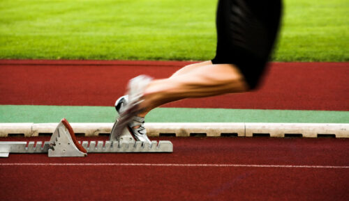 individuelles Business Coaching