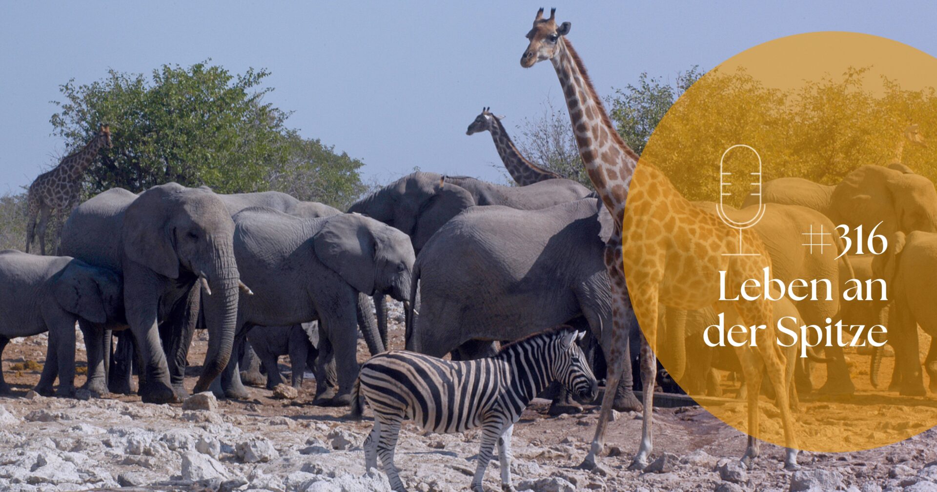 Was Sie ein Baum über Führen lehren kann
