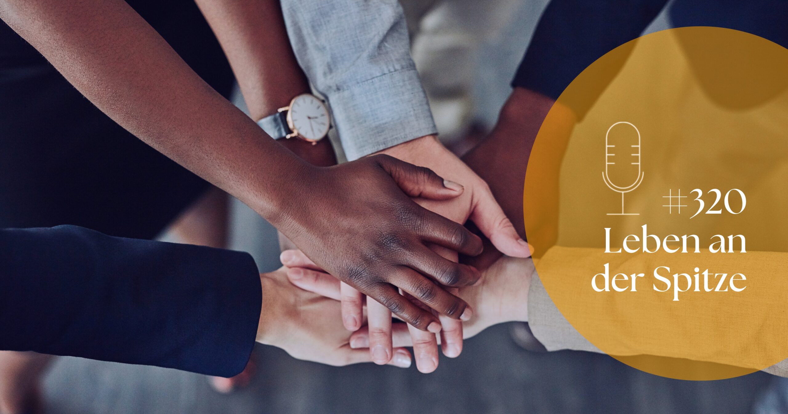 Top-Team zusammenstellen