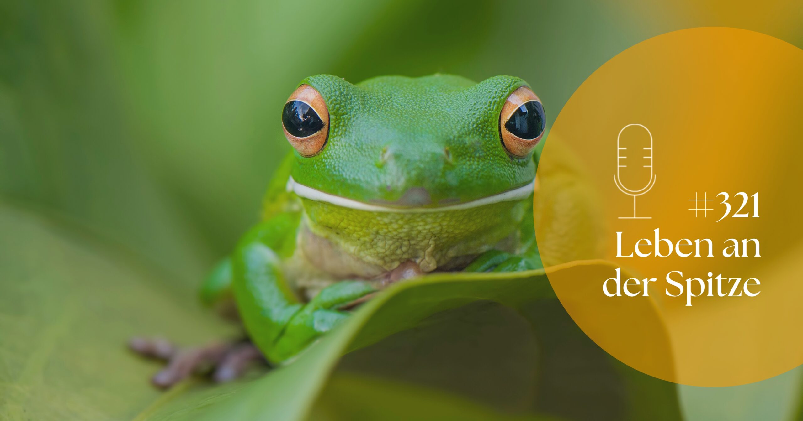 Naturbeispiele Führungsalltag